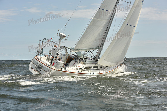 2024 Vineyard Race A_1737