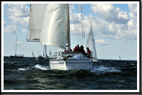 proof_2010_Vineyard_Race_0064