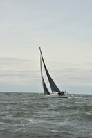 2024 Vineyard Race A_2295