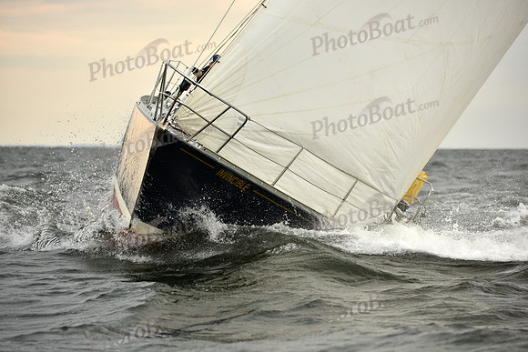 2018 Vineyard Race A_2995