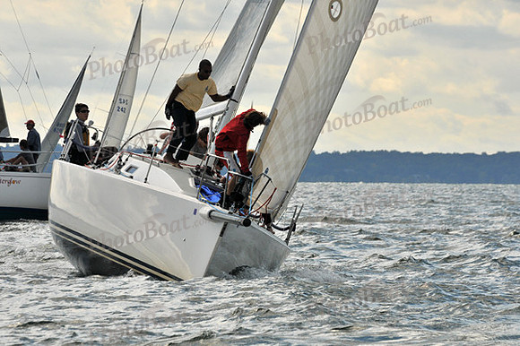 2010 IRC LIS 558