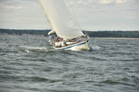 2024 Vineyard Race A_1246