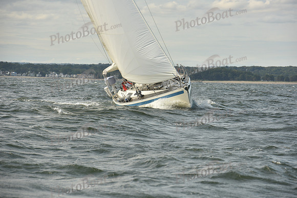 2024 Vineyard Race A_1246