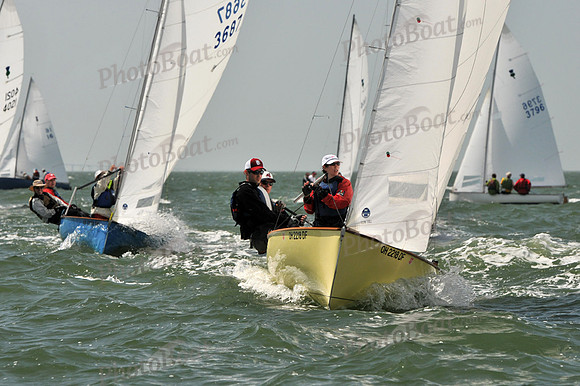 2012 Thistle Midwinters B 1152