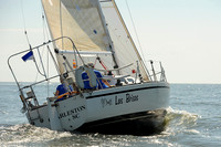 2014 Charleston Race Week A 498
