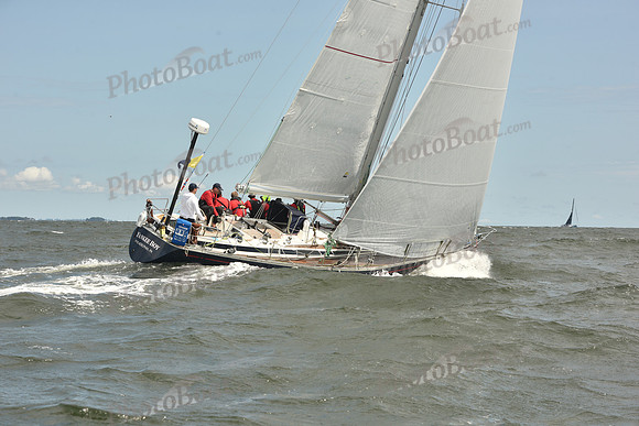 2024 Vineyard Race A_2197