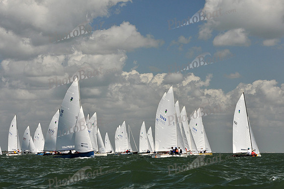 2012 Thistle Midwinters C 555