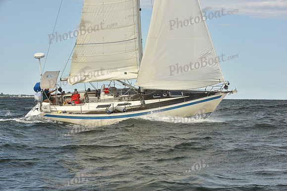 2024 Vineyard Race A_1270