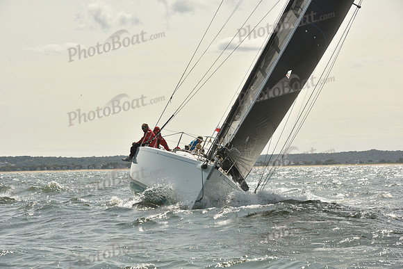 2024 Vineyard Race A_0664