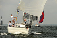 2013 Vineyard Race A 449