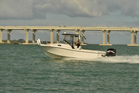 2019 Feb 10 Tampa Bay B_0789