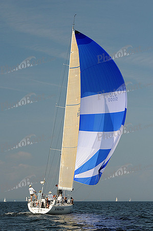 2013 Vineyard Race A 1988