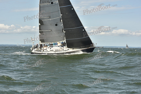2024 Vineyard Race A_0362