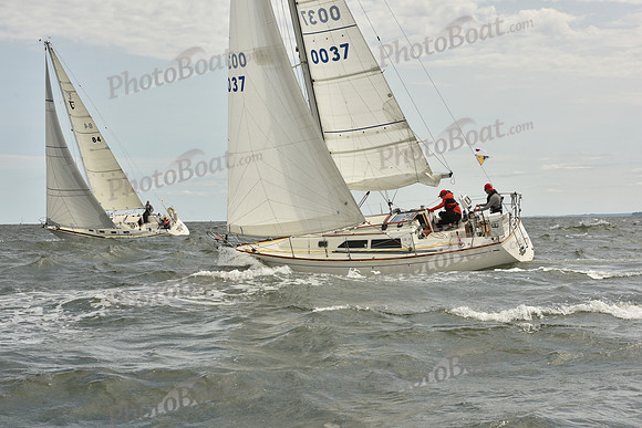 2024 Vineyard Race A_1432