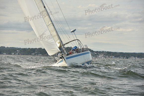 2024 Vineyard Race A_1248