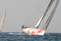 2010_Newport_Bermuda 1877