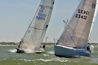 2014 Southern Bay Race Week D 741