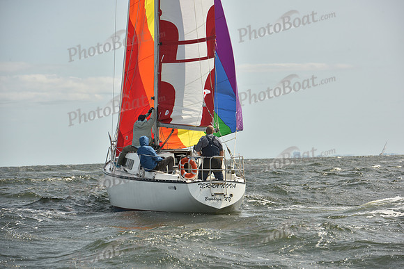 2024 Vineyard Race A_1788