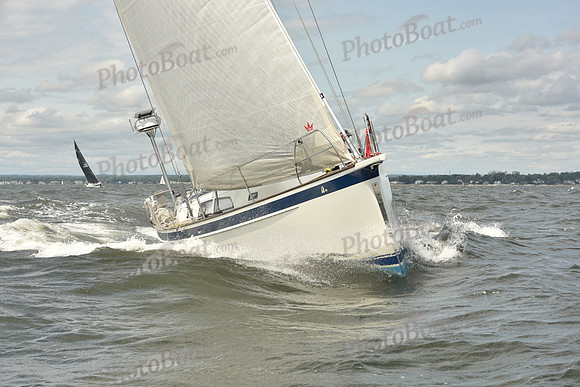 2024 Vineyard Race A_1900