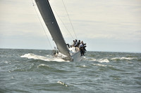 2024 Vineyard Race A_0837
