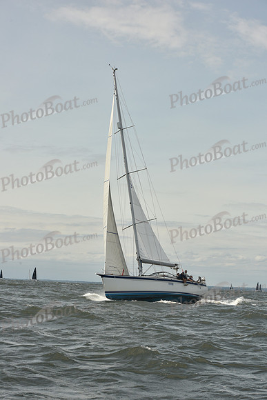 2024 Vineyard Race A_1886