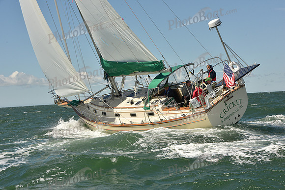 2025 Figawi_0233