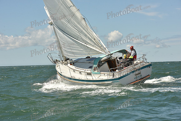 2025 Figawi_0515
