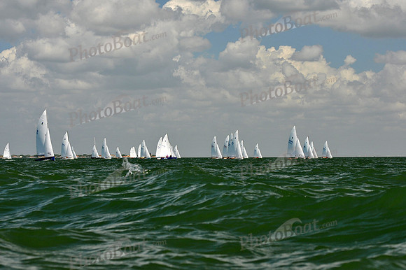 2012 Thistle Midwinters C 559