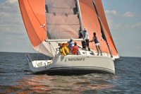 2016 Vineyard Race A_0241