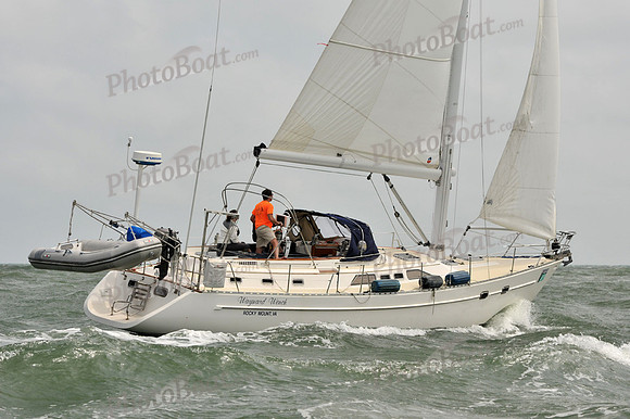 2012 Charleston Race Week A 2311