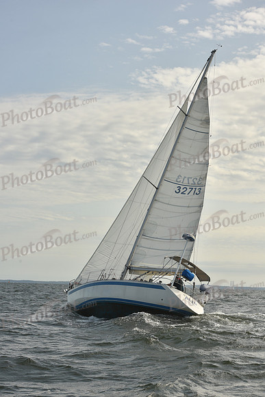 2024 Vineyard Race A_1264