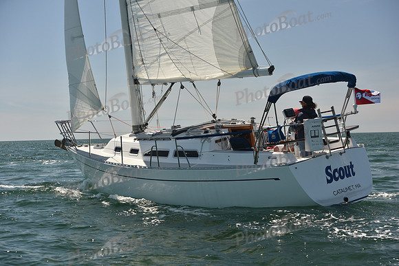 2024 Figawi 0193