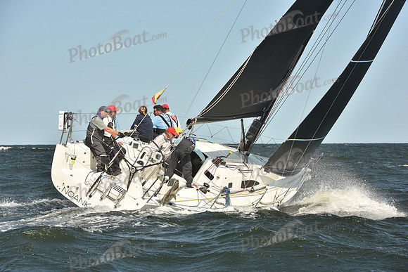 2024 Vineyard Race A_1106