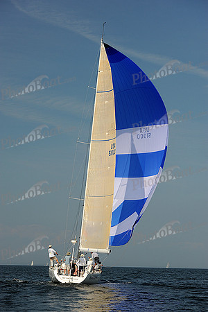 2013 Vineyard Race A 1987