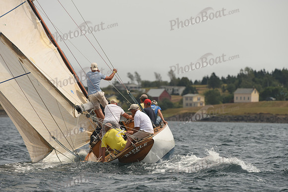 2016 Chester Race Week C_0745