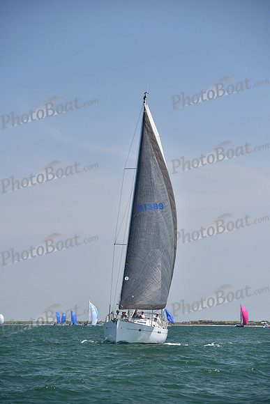 2019 Figawi_1108