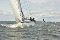 2024 Vineyard Race A_1894