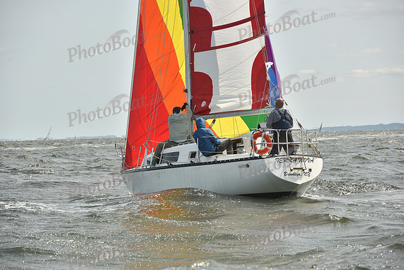2024 Vineyard Race A_1787