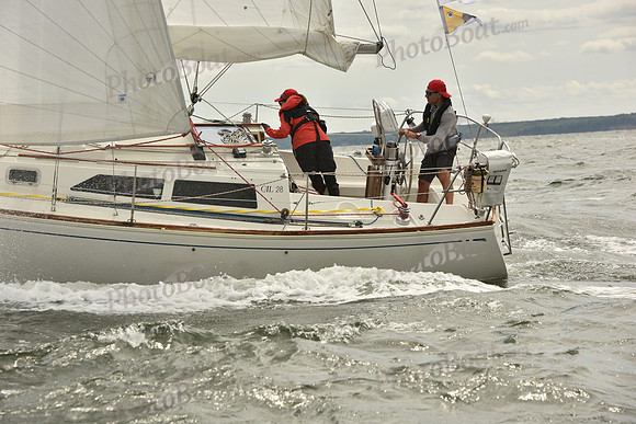2024 Vineyard Race A_1429