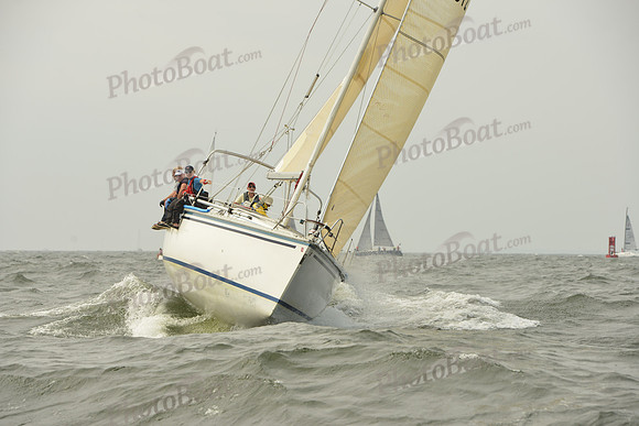 2015 Vineyard Race A 211