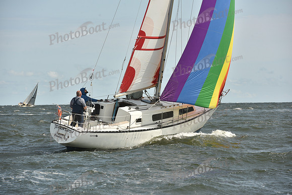 2024 Vineyard Race A_1792