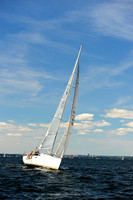2014 Vineyard Race A 1241