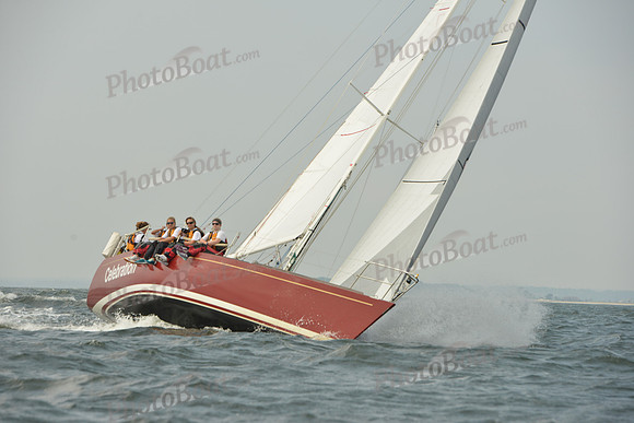 2015 Vineyard Race A 251