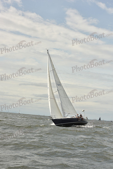 2024 Vineyard Race A_1654
