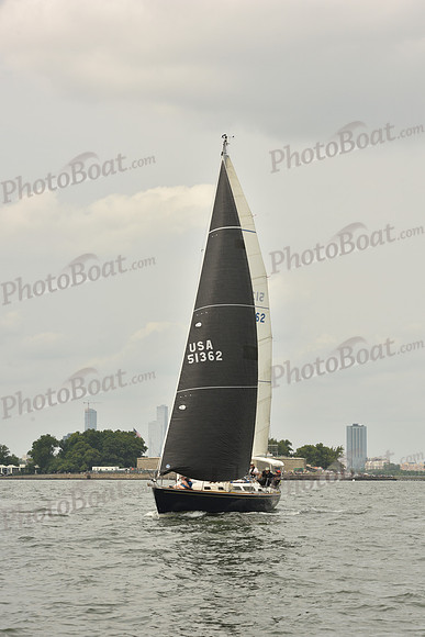 2024 ALIR_0558