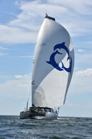 2020 Vineyard Race A_1729
