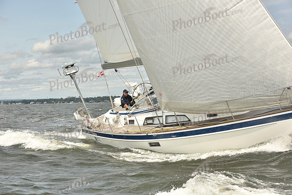 2024 Vineyard Race A_1901