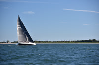 Scylla