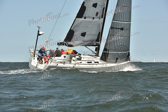 2024 Vineyard Race A_0267