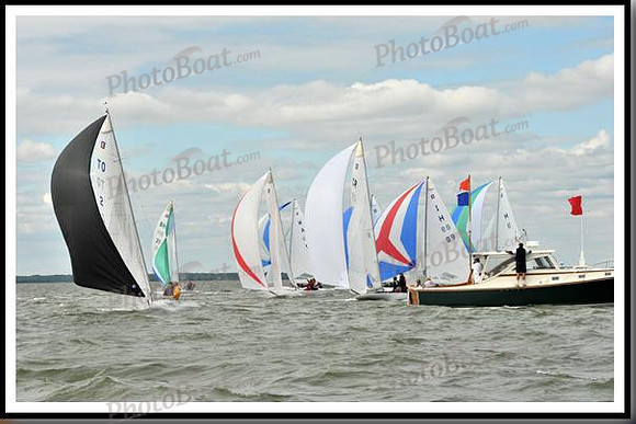 proof_2010_EScows_A 1580